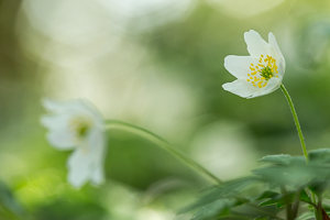 © Oliver Smart © Oliver Smart